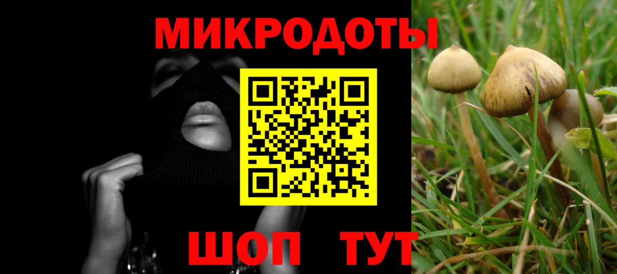 Галлюциногенные грибы Psilocybe  Вход с VPN  Обнинск  Псилоцибиновые грибы мухоморы 